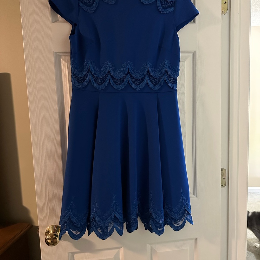Elegant Blue  Dress